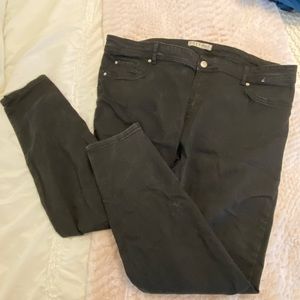Women’s Denim&Co Black Jean Size 16